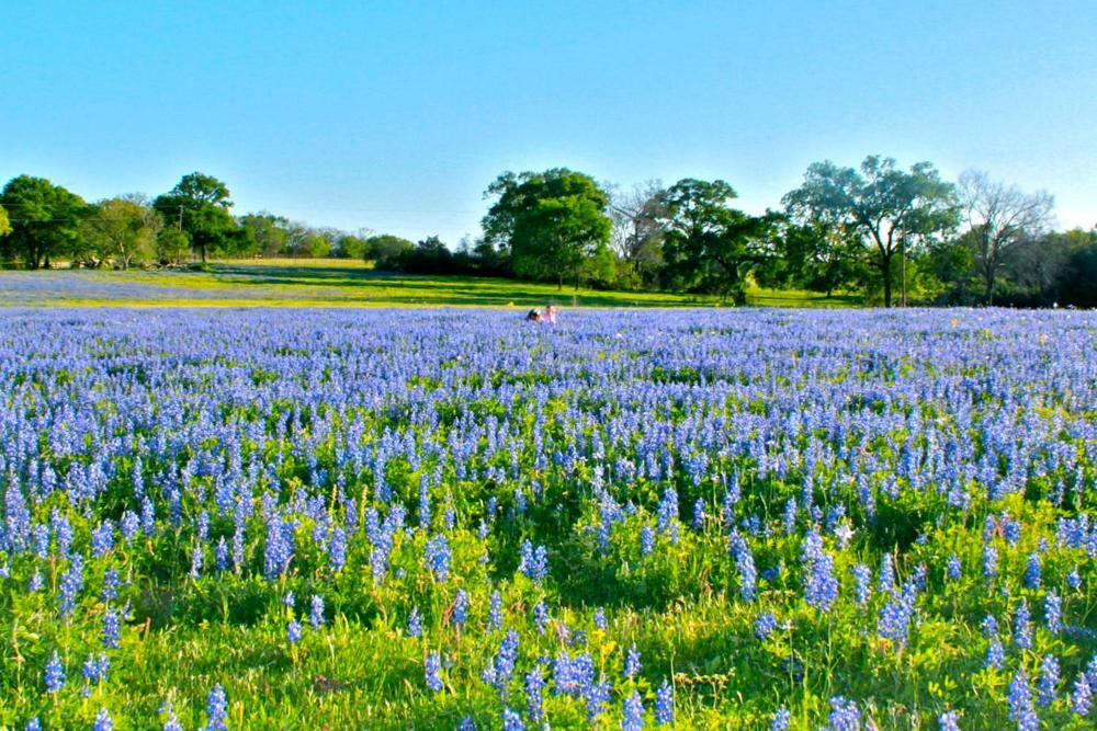 Square Inn Wimberley Bagian luar foto